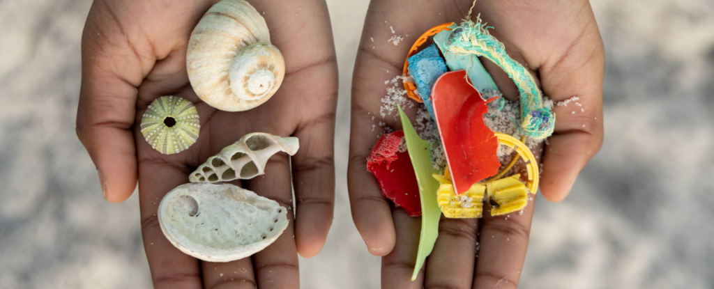 Plastic's Impact on Health Costs $1.5 Trillion Every Year, Report Warns : ScienceAlert