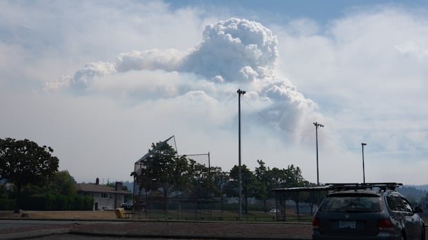 'Explosive' wildfire growth near Port Alberni, B.C., unusual for Vancouver Island: wildfire service