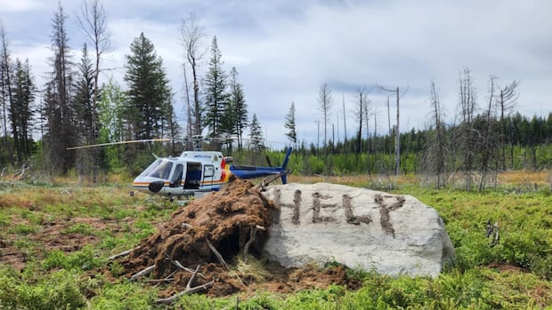 Man rescued after he went missing for more than a week in B.C. wilderness