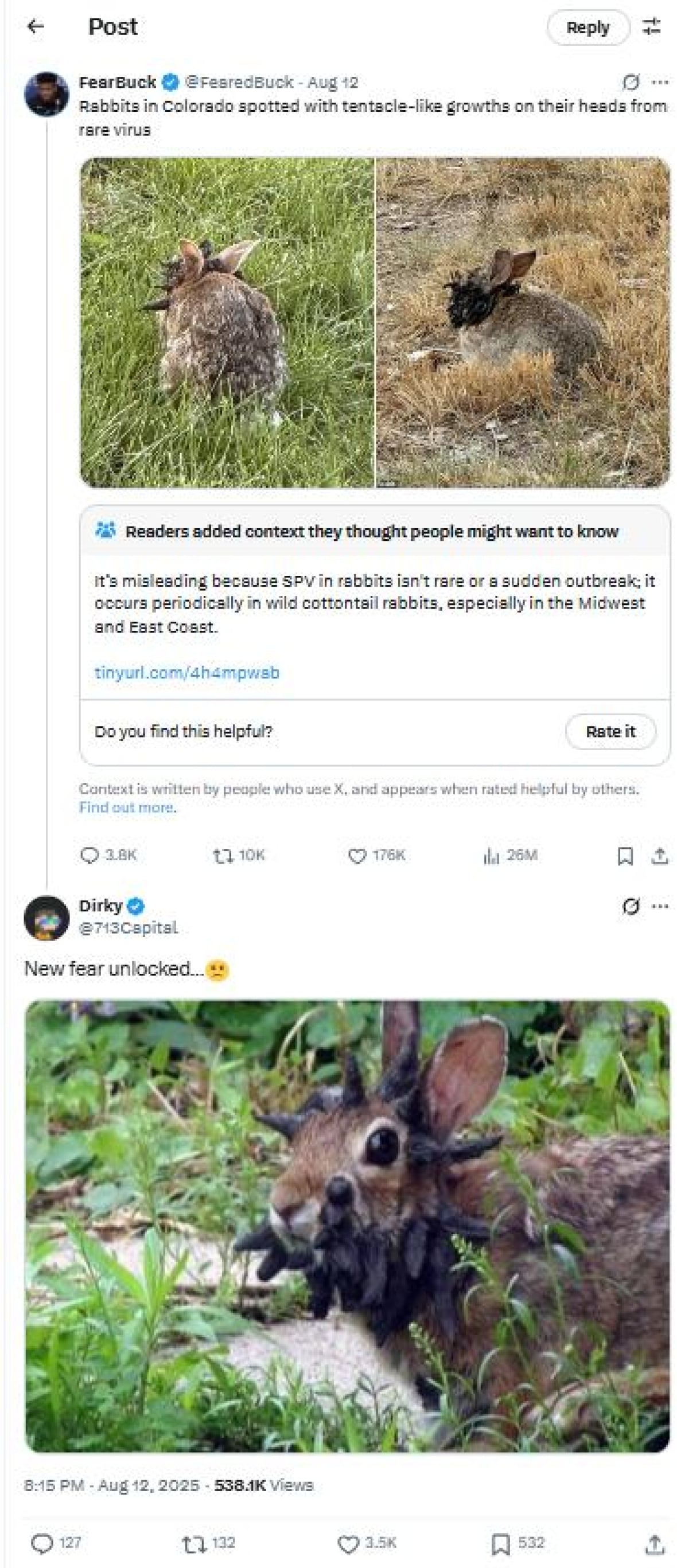 Rabbits with horn-like growths on X