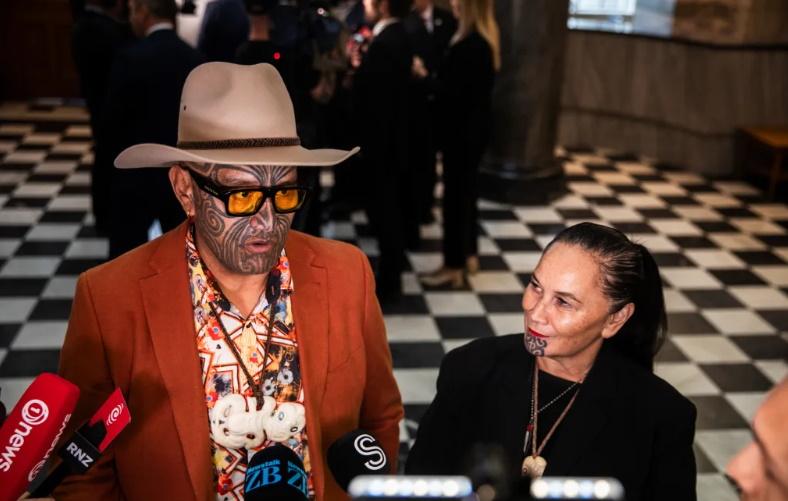 Te Pāti Māori pursuing two-pronged legal action