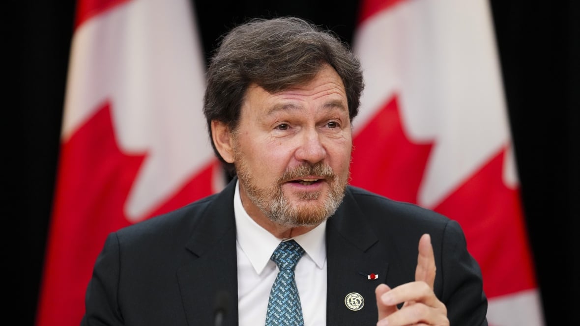A man in a suit gestures with his finger in front of a Canadian flag.