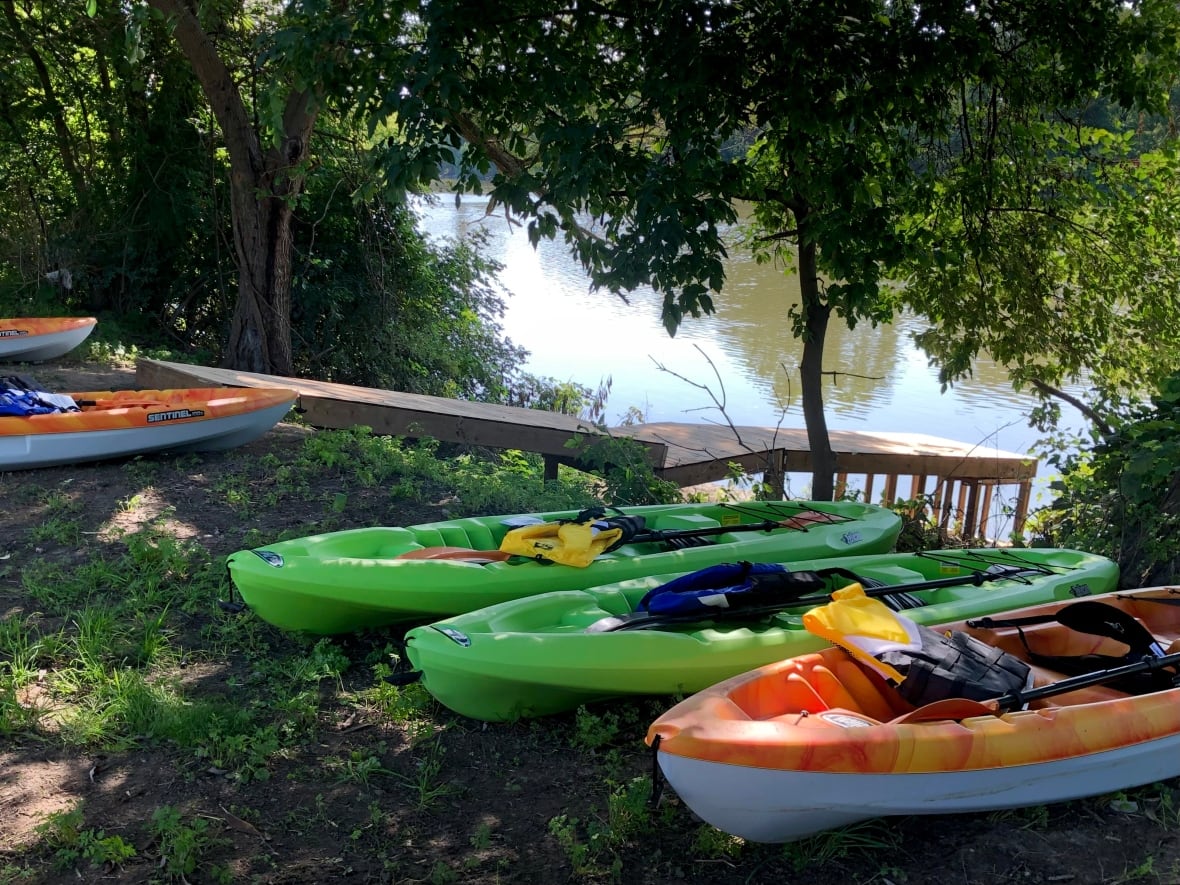 Five boats are lined up next to the water. 