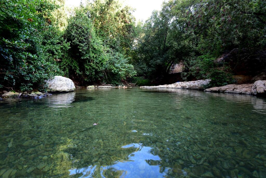 בריכת הדלבים