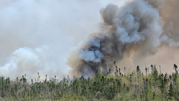 Nova Scotia has issued more than $288K in burn-ban fines in 2025