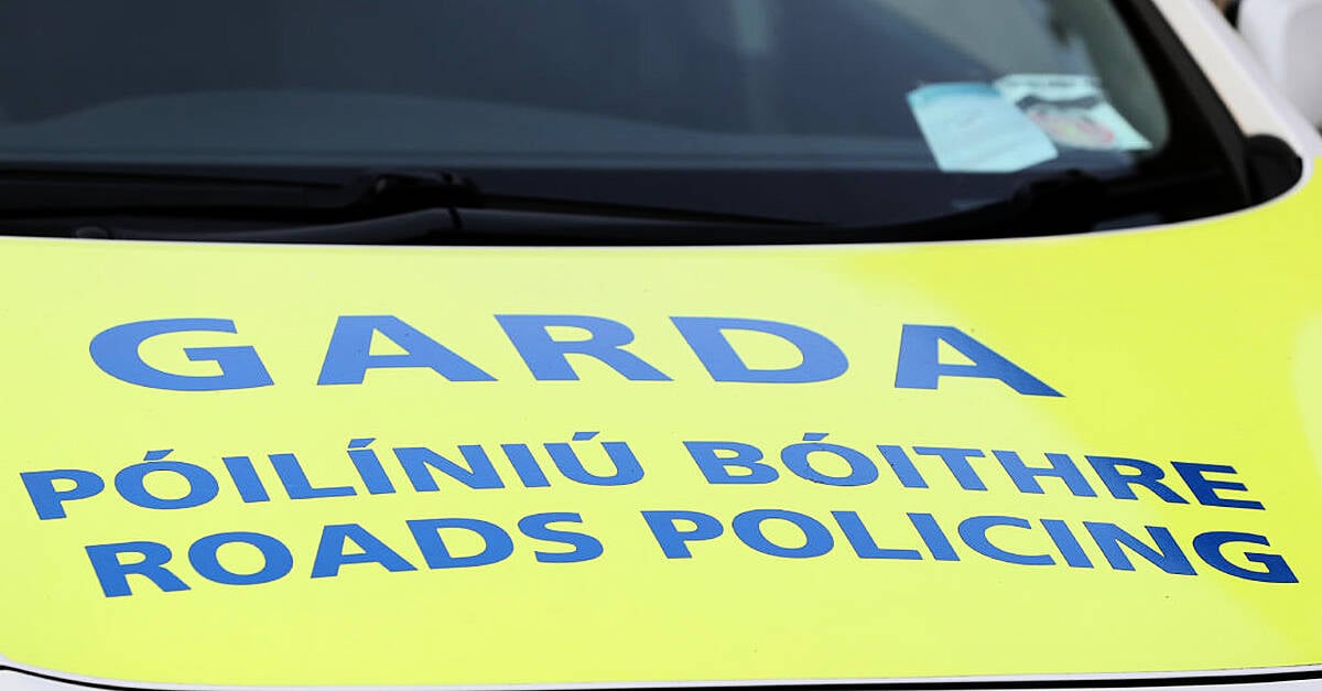 'Shocking' report reveals some gardaí are ‘openly hostile to doing their job’