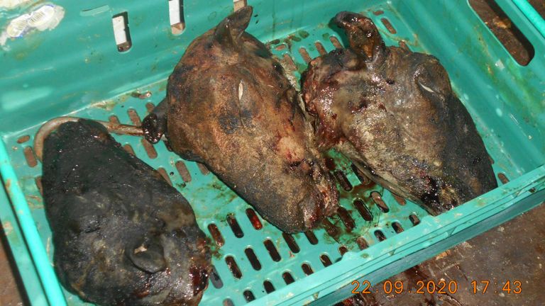 The beef, chicken and lamb was supposed to have been used for pet food or disposed of. Pic: Southwark Council/PA