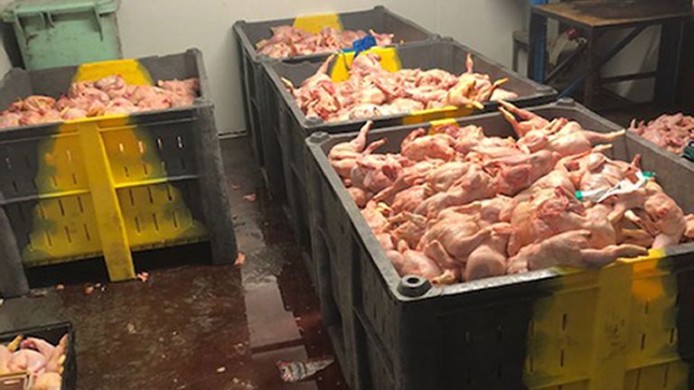 The cutting room in south London, described by the judge as 'disgustingly filthy'. Pic: Southwark Council/PA