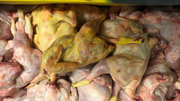  Pic: Southwark Council/PA