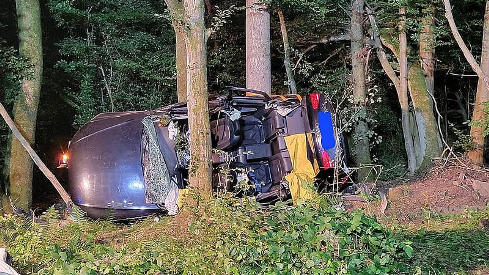The car was found wedged between trees. Pic: Feuerwehr Reinhardshagen