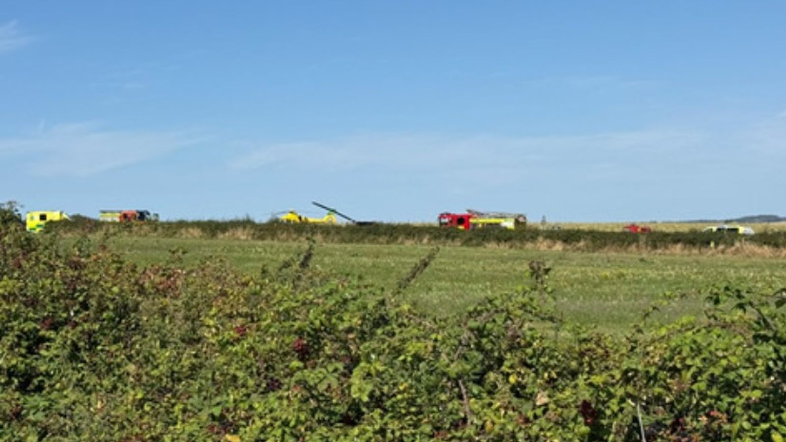 Fire and rescue vehicles at the scene near Ventnor. Pic: Stu Southwell