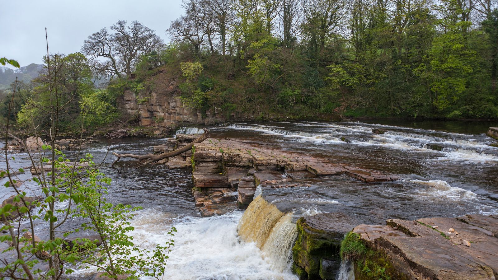 The River Swale at Richmond Falls, North Yorkshire. Pic: iStock