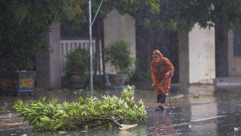 A woman walks by a fallen tree in Nghe An province, Vietnam. Pic: Reuters