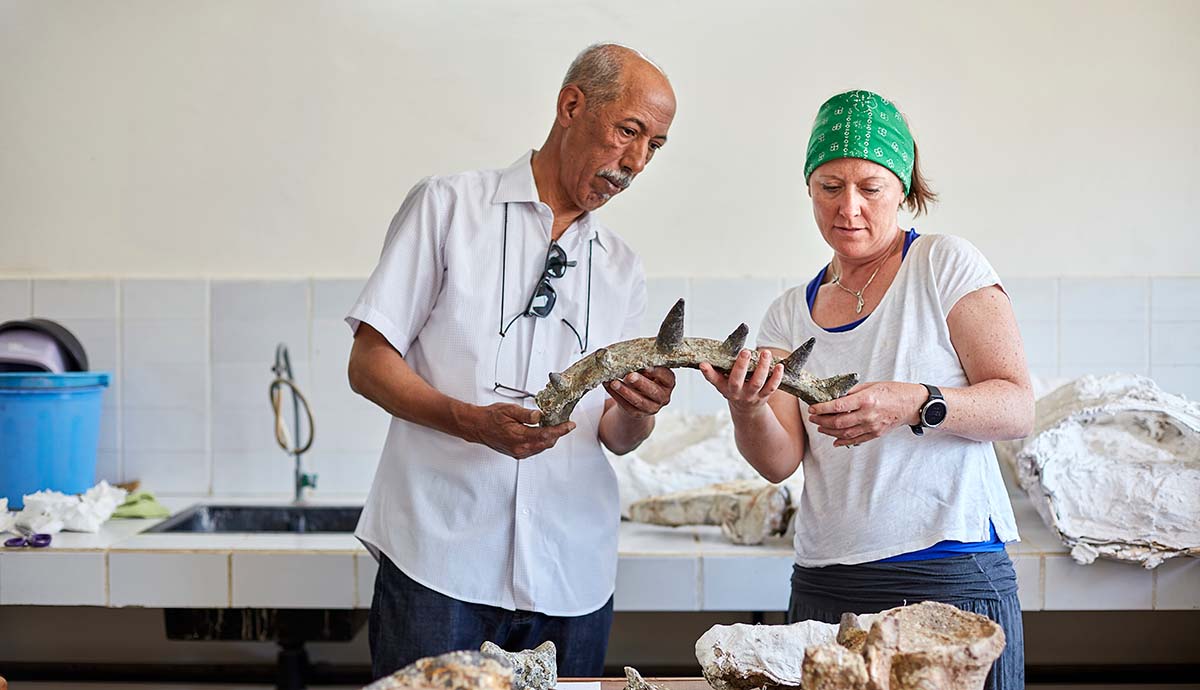 Professor Driss Ouarhache and Professor Susannah Maidment hold a Spicomellus rib in a palaeontology lab.