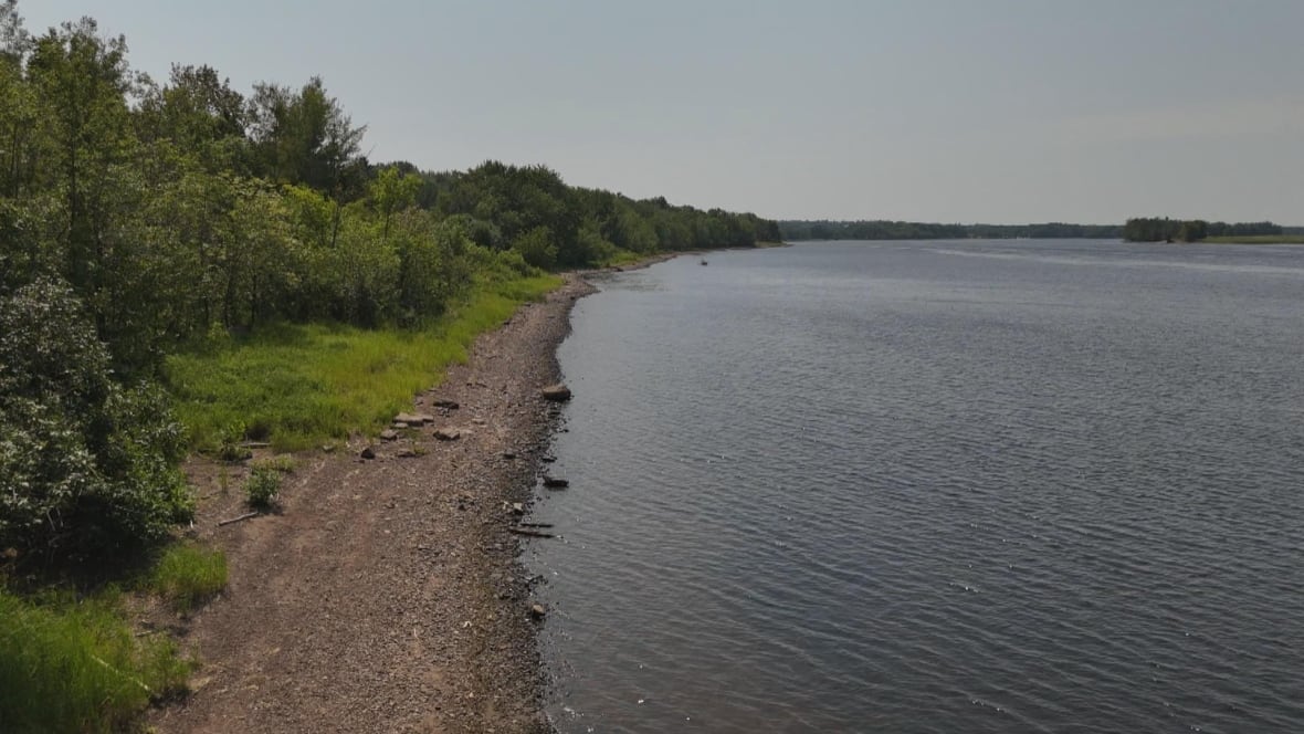 A coastline with green trees and flowing water.