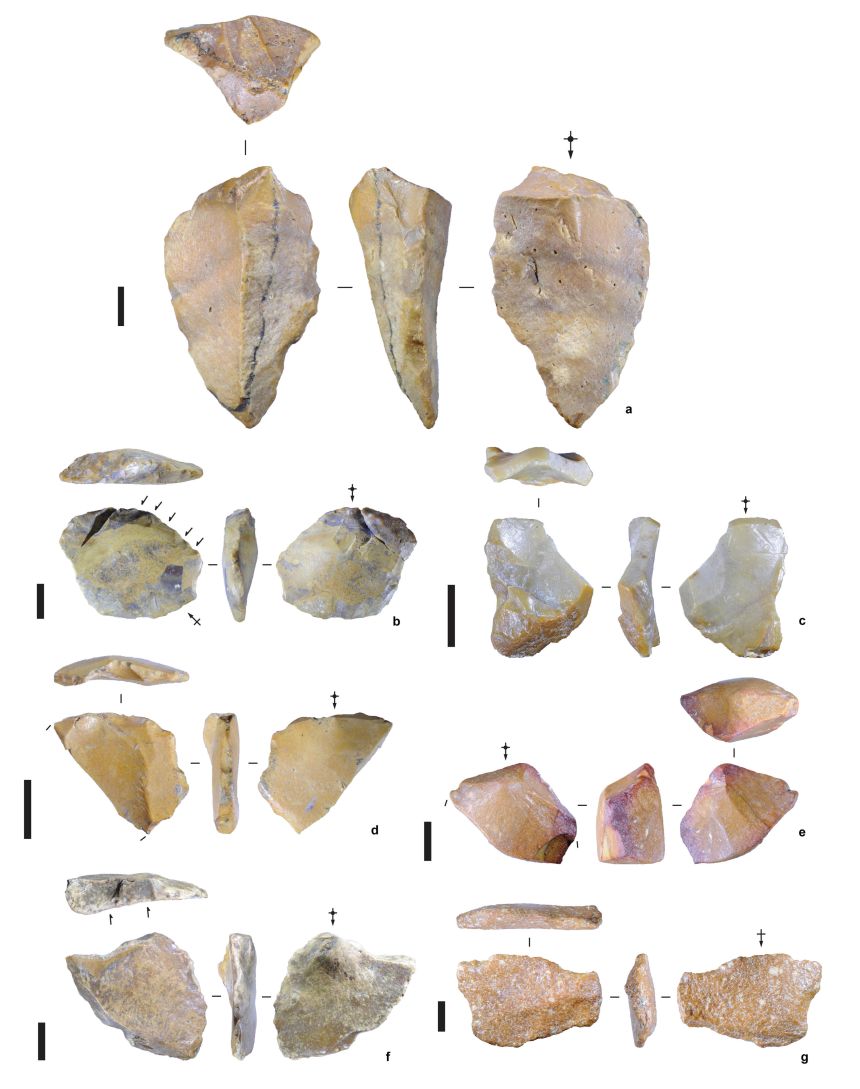 Excavations revealed seven different stone tools.