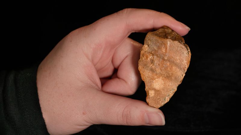 Stone tool discovery offers new clue in mystery of ancient humans living on Indonesian island
