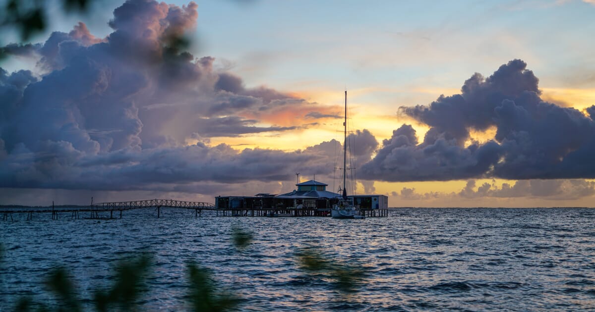 Fish cleaning and reef innovation: inside Kamoka’s pearl farming model