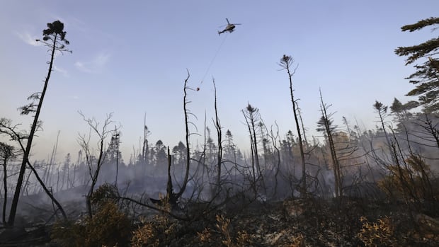 Wildfire burning near Halifax business park remains out of control
