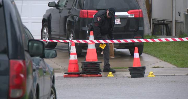 2 men in critical condition after shooting in northeast Calgary - Calgary