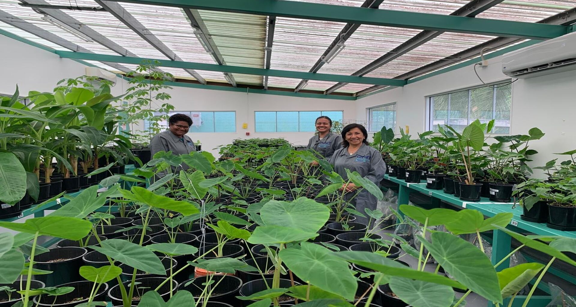 IAEA Study Seeks to Make More Nutritious Crops