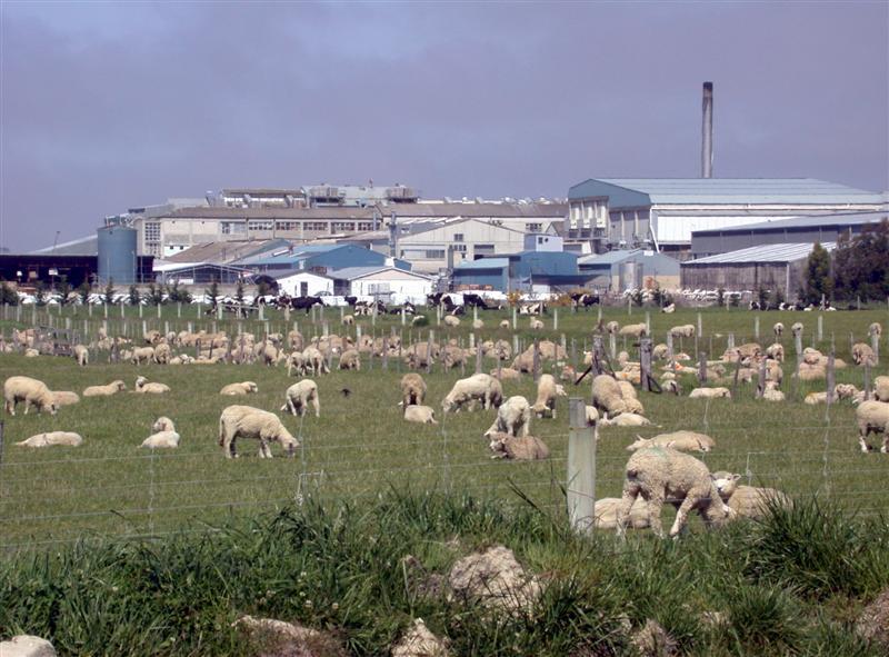 Farmers to vote on co-op's 65% sale to overseas group