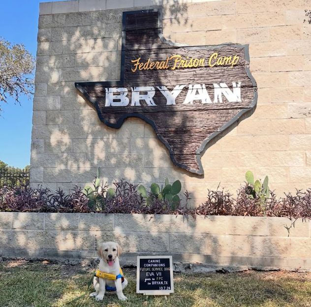 A puppy with the Canine Companion program at the Bryan, Texas, federal prison camp.