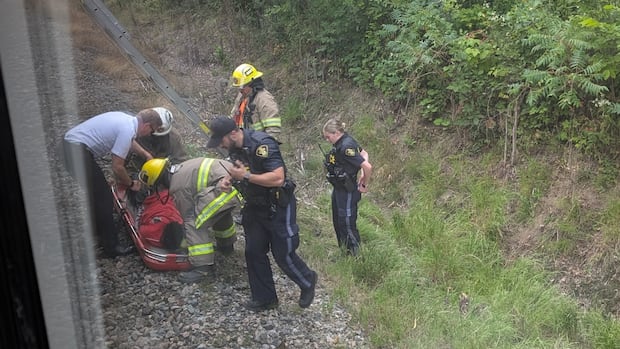 Man charged for 'surfing' atop moving train near Alexandria