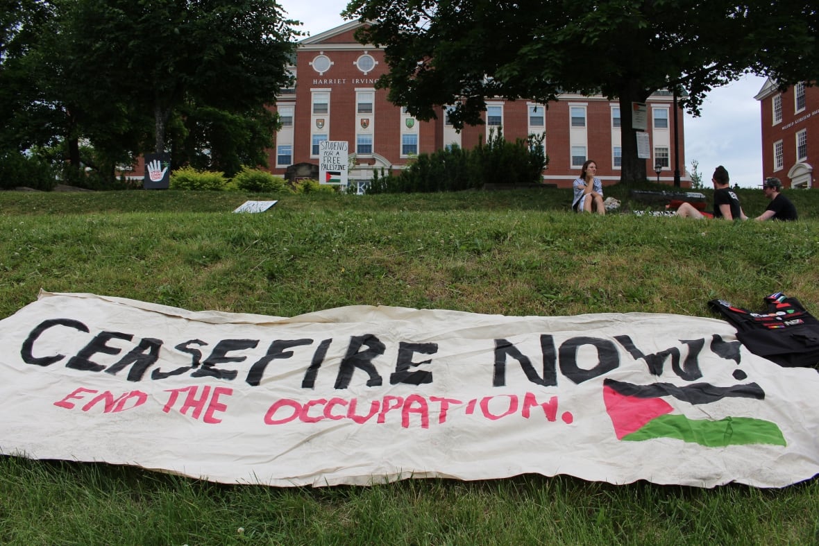 A sign saying "Ceasefire now" and "End the occupation" is laid on a lawn at the University of New Brunswick's campus.