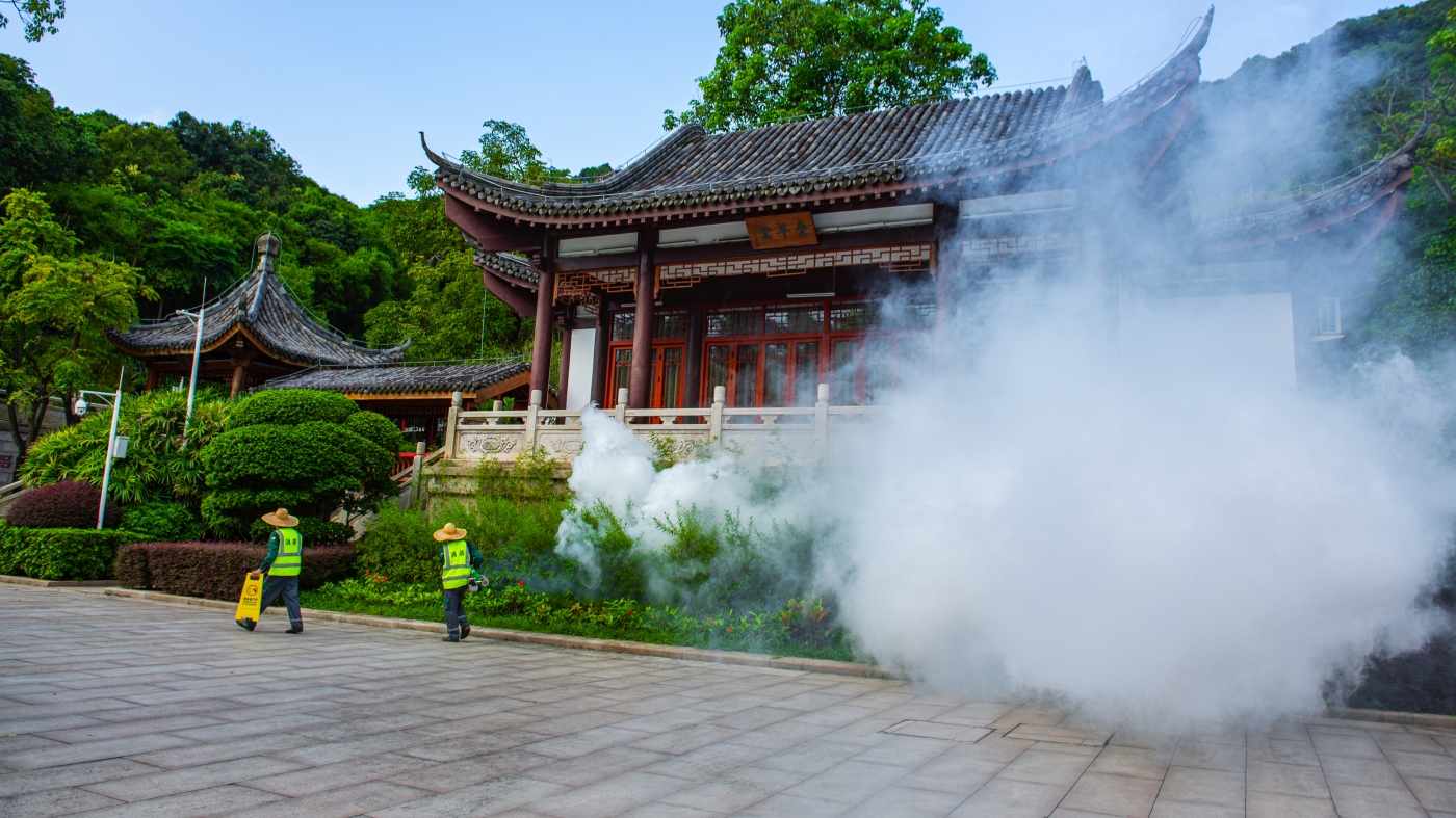 China has declared war on the chikungunya virus. How much of a threat is it? : Goats and Soda - NPR