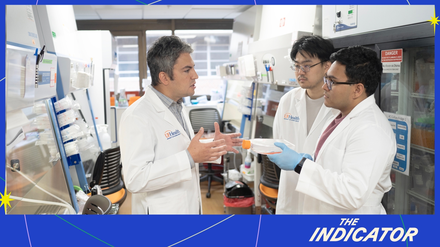 The Indicator from Planet Money : NPR