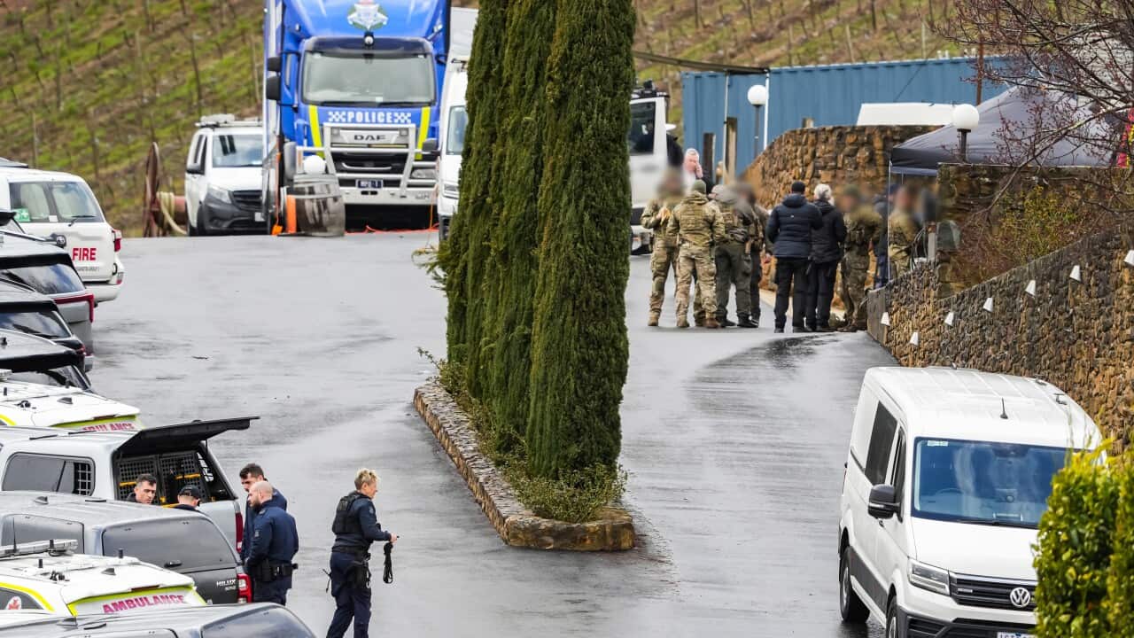 A large group of police, standing near multiple police vehicles.