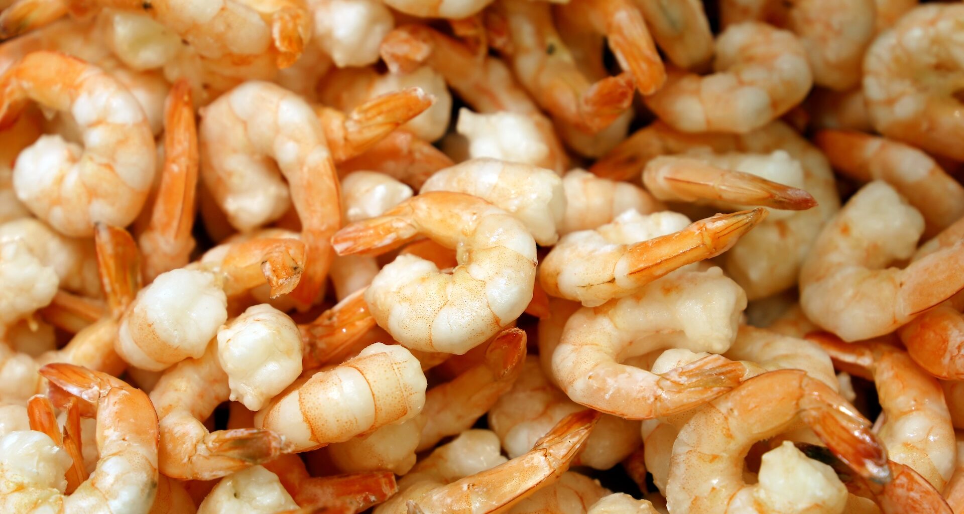A close-up of shelled, raw shrimp