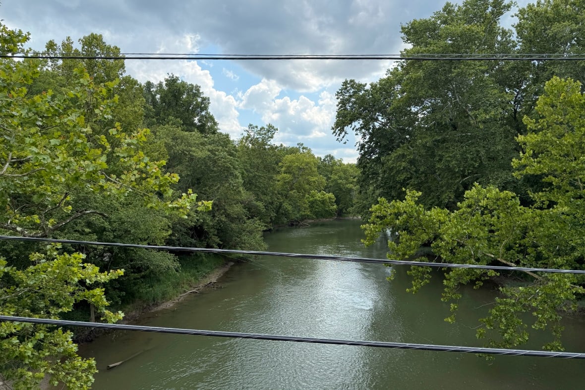 A river is shown from a bridge, with trees on either side.
