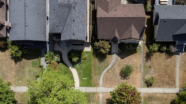 In a sea of brown lawns, why some natural gardeners are bringing messy back