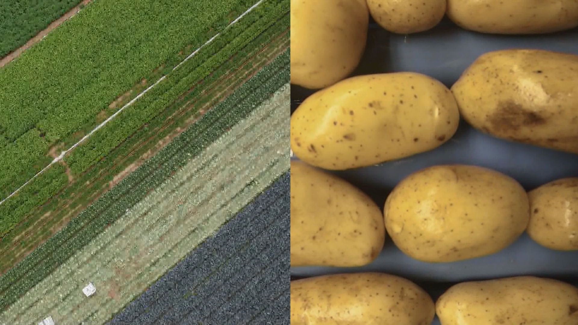 Click to play video: 'First Nations seek return of land housing well-known B.C. potato farm'