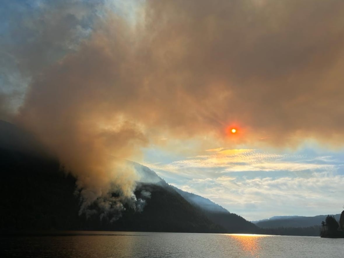 A wildfire burns a forest beside a lake