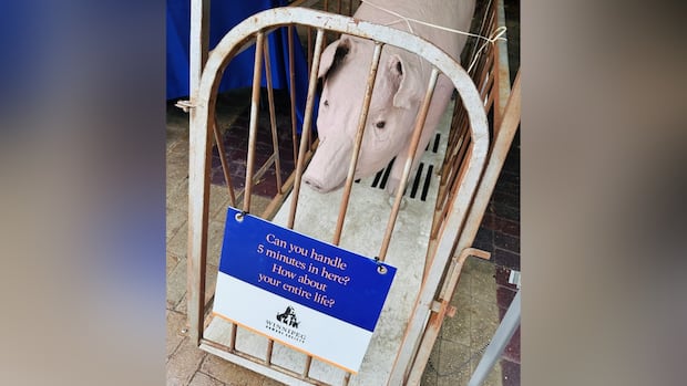 Humane Society asked to leave Hanover fair over papier mâché pig, human-sized cage