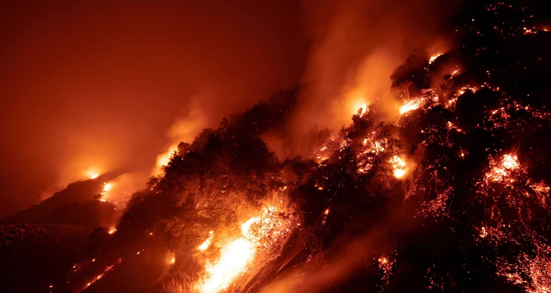 Wildfire Risk Threatens 440 Million People—scientists Sound Alarm Over Escalating Global Crisis