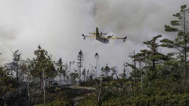 Halifax wildfire was human-caused, N.S. government confirms