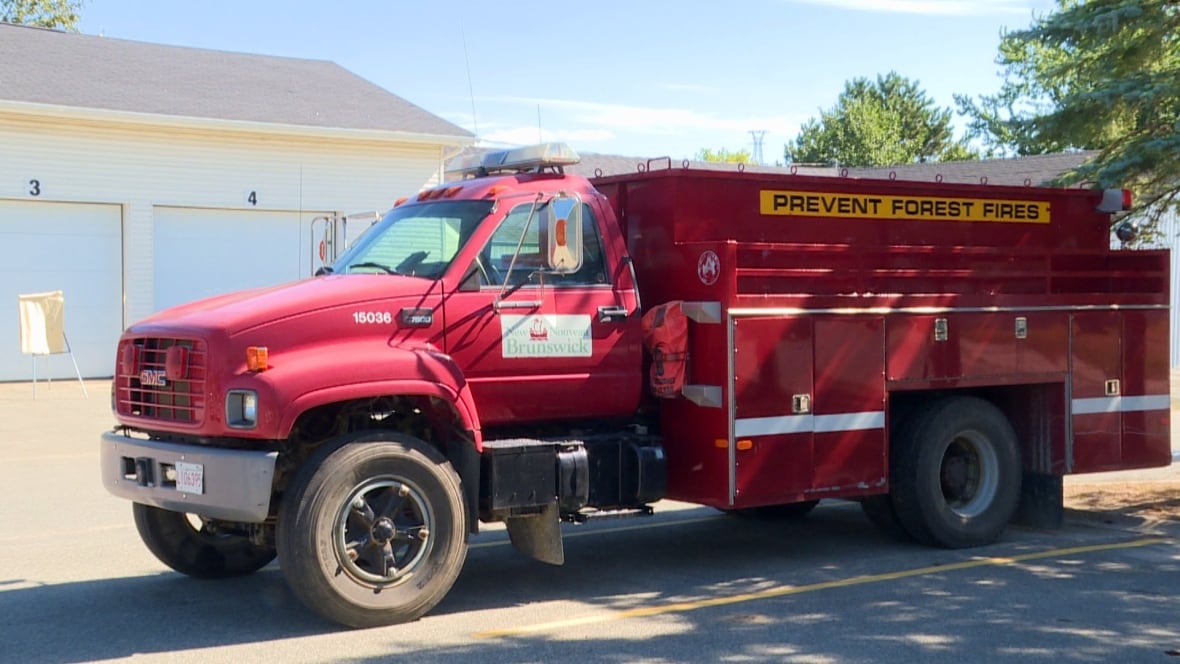 A small fire truck that says "PREVENT FOREST FIRES" on the side