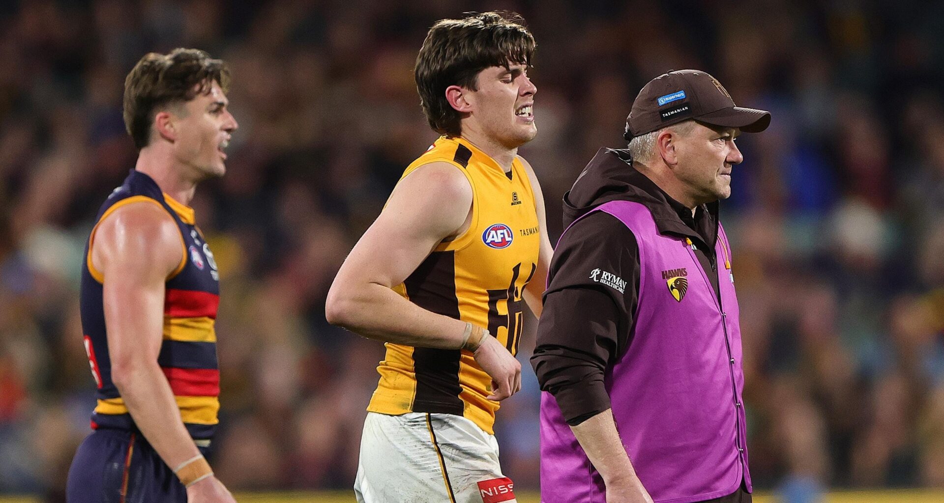 The full AFL injury list, R22