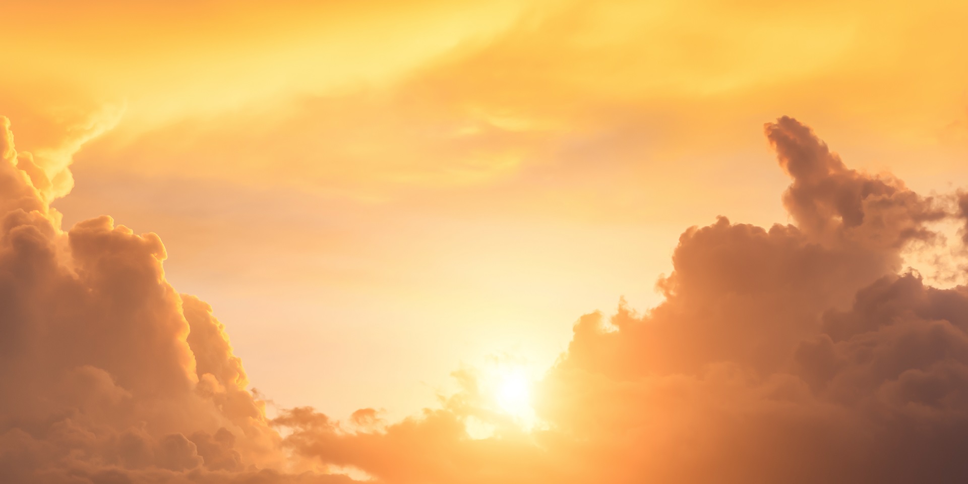 This summer will ‘almost certainly’ be warmest on record for the UK