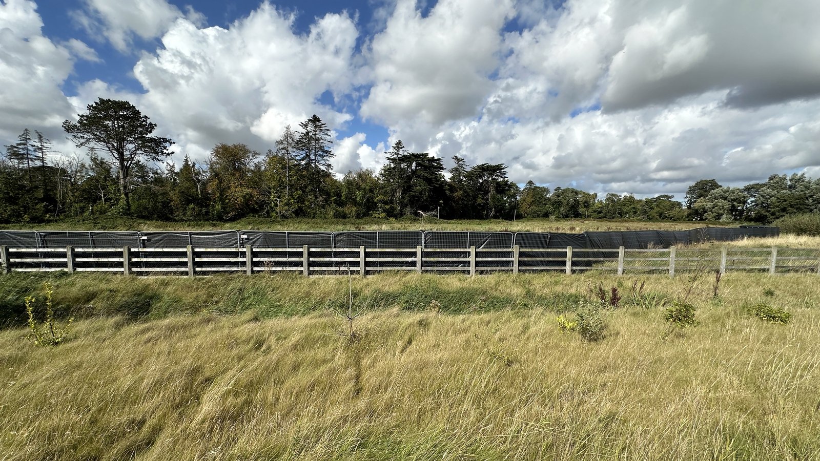 Martin warns over premature reaction to missing boy case