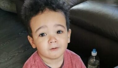 Remains found in search for missing child in Donabate