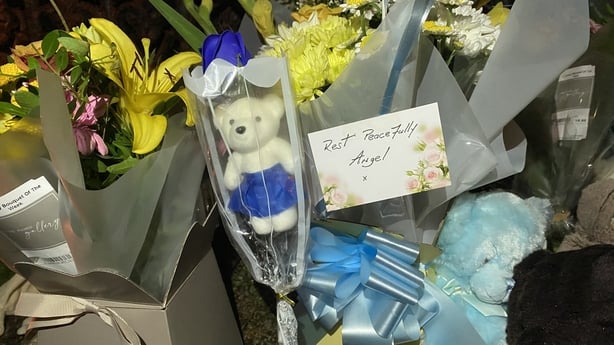 Flowers at Donabate search site 