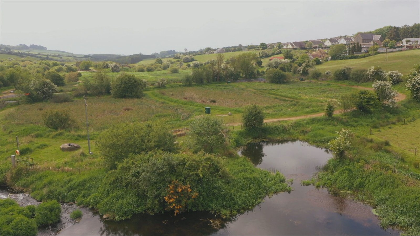 Wetlands providing natural treatment plant in Waterford