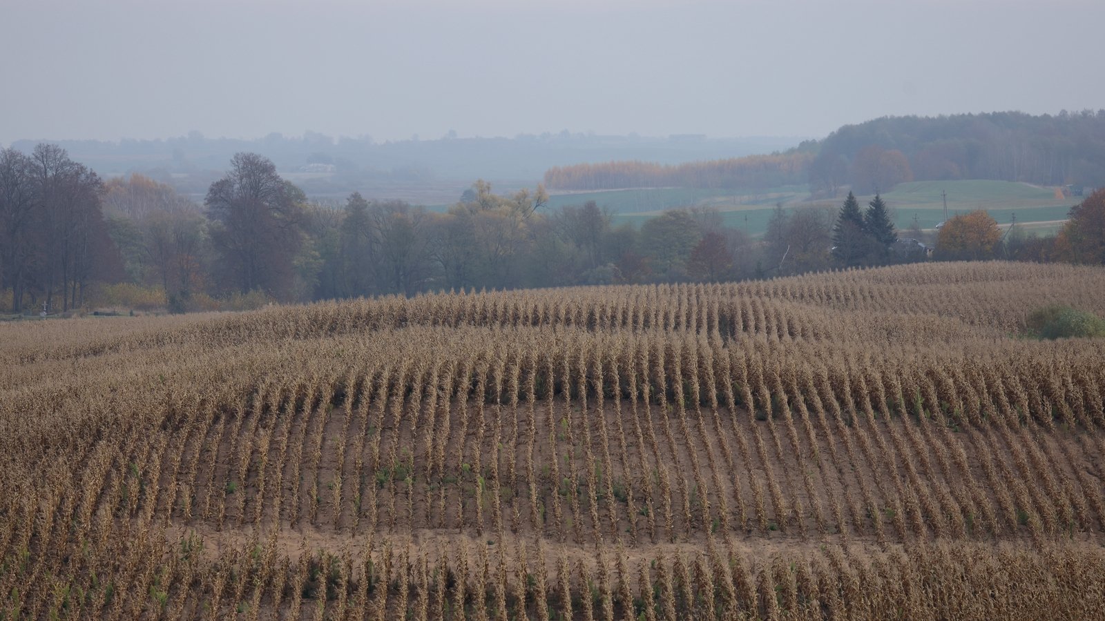 What is the Suwalki Gap and is it NATO's weak point?