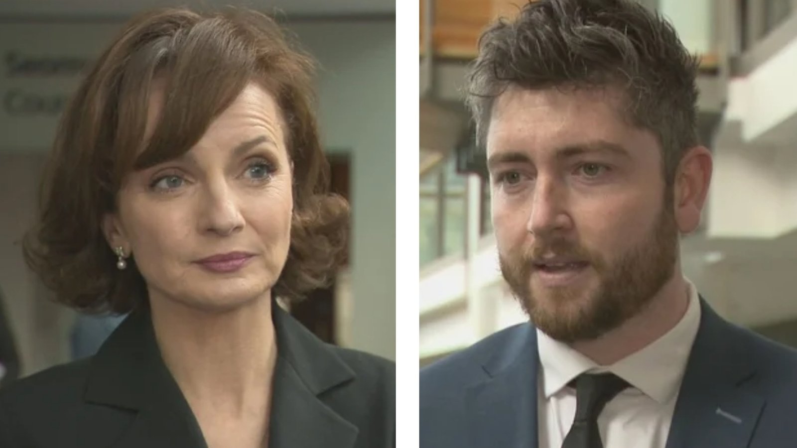 Steen, Sheridan seeking support to enter Áras race