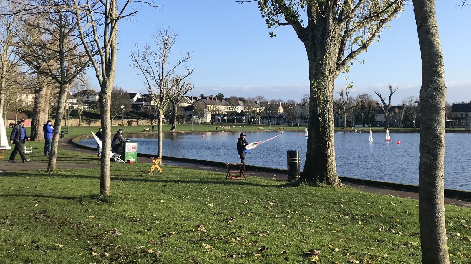 Bird flu cases confirmed in Cork city's The Lough amenity